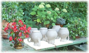 the studio garden