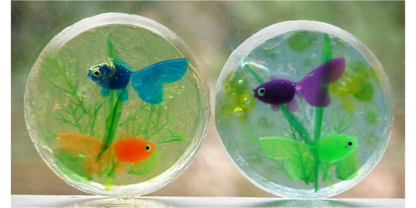 aqarium goldfish soap